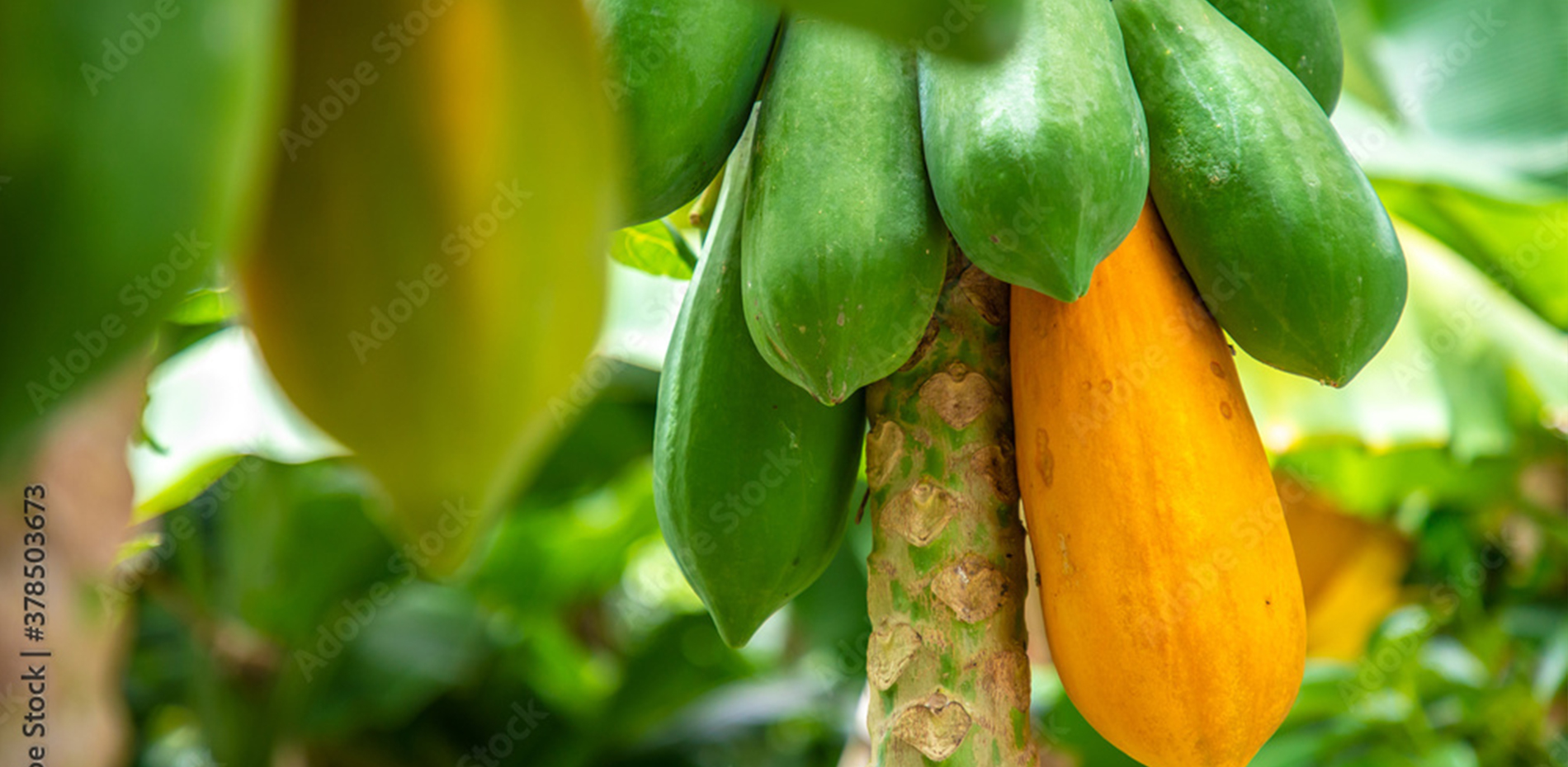 公司产品展示图